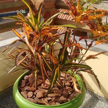 Pousada Castelinho Marica Luaran gambar