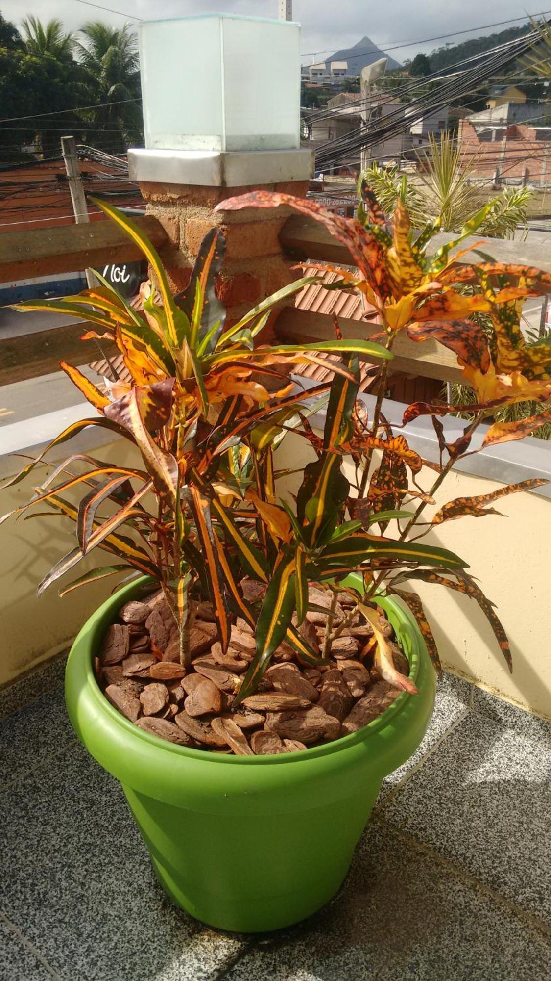 Pousada Castelinho Marica Luaran gambar