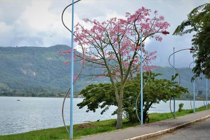Pousada Castelinho Marica Luaran gambar